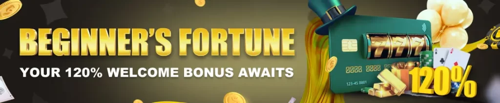 vip777 beginners fortune